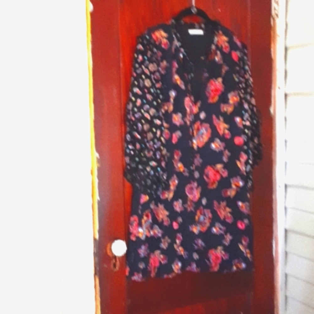 Alice + Olivia sz M/L 3/4 ruffled sleeves paisley print silk viscose and velvet